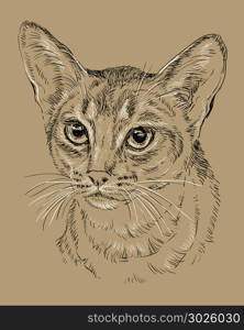 Vector outline monochrome portrait of curious Abyssinian Cat in black and white colors. Hand drawing illustration isolated on brown background