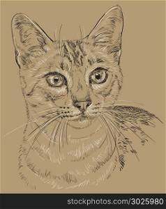 Vector outline monochrome portrait of curious Egyptian Mau Cat in black and white colors. Hand drawing illustration isolated on brown background