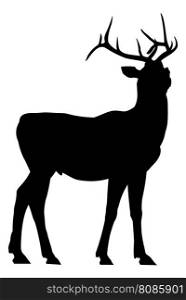 Vector outlines of the deer silhouette