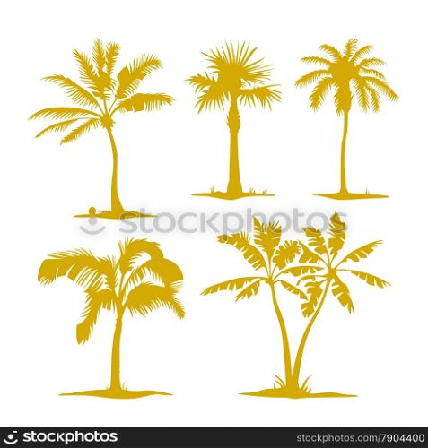 Vector palm contours isolated on white. Illustration set