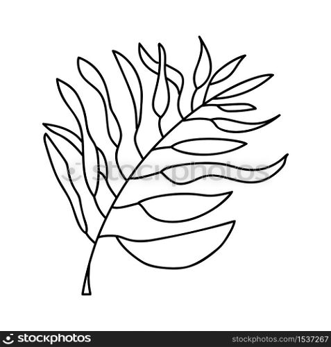 Vector Palm exotic leaf line art. Contour drawing icon. Minimalism art logo. Modern design summer.. Vector Palm exotic leaf line art. Contour drawing icon. Minimalism art logo. Modern design summer