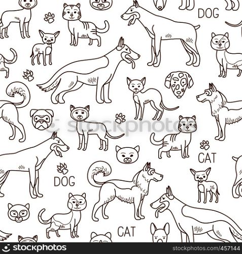 Vector pets pattern. Doodle dog and cat background. Vector doodle pets pattern
