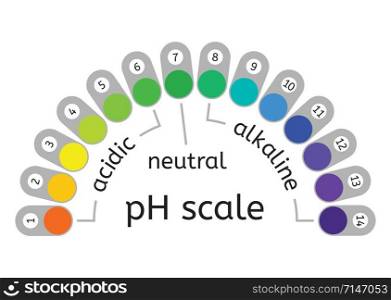 vector ph scale of acidic,neutral and alkaline value chart for acid and alkaline solutions. ph scale measurement illustration