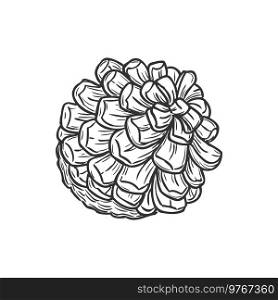 Vector pine cone isolated monochrome sketch icon New Year and Christmas decoration, pinecone hand drawn. Spruce and fir-tree plant, autumn season decor element, botanica pinecone pencil drawing. Pinecone isolated cone tree plant monochrome icon