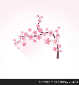vector pink color flat design japan cherry blossom sakura branch illustration isolated light background long shadow&#xA;