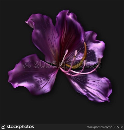 Vector Plant Decoration. Exotic Tropical Flower. Nature Floral Blossom Isolated Illustration. Hawaii Flora Bloom. Beautiful Bright Petal. Realistic Blooming Asia Flower in Purple Color. Spa Wellness.. Vector Plant Decoration. Exotic Tropical Flower.