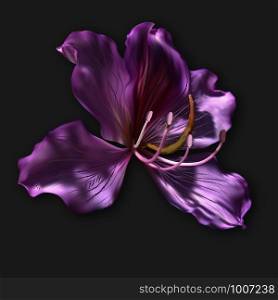 Vector Plant Decoration. Exotic Tropical Flower. Nature Floral Blossom Isolated Illustration. Hawaii Flora Bloom. Beautiful Bright Petal. Realistic Blooming Asia Flower in Purple Color. Spa Wellness.. Vector Plant Decoration. Exotic Tropical Flower.