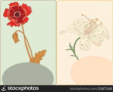 vector postcards with poppy and lily