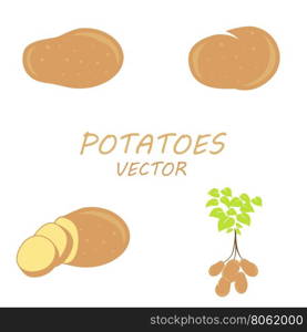 Vector Potatoes icons set. Vector Potatoes icons set on white background