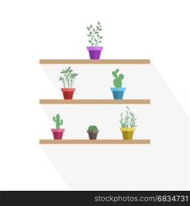 Vector potted plants. Vector illustration of potted plants and cactus, three pot decoration garden plants