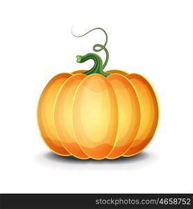 Vector Pumpkin On A White Background