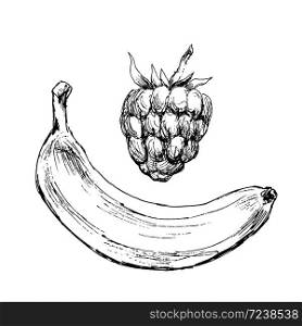 vector raspberries and banana. Hand-drawn and colored illustration black. vector raspberries and banana. Hand-drawn and colored illustration black white