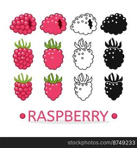 vector raspberry set isolated on white background. colorful, black and thin line berry fruits symbols. organic raspberry food