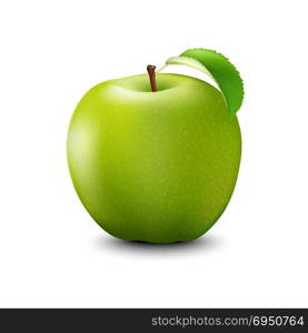 Vector Realistic Green Apple. Detailed 3d Illustration Isolated On White. Design Element For Web Or Print Packaging.