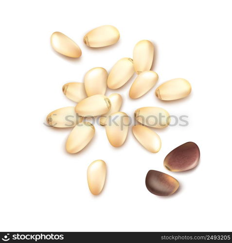 Vector realistic pile of shelled pine nuts close up top view isolated on white background. Pile of pine nuts