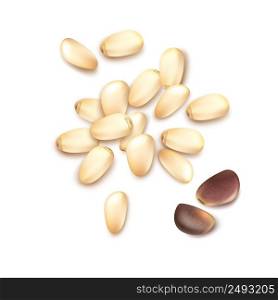 Vector realistic pile of shelled pine nuts close up top view isolated on white background. Pile of pine nuts