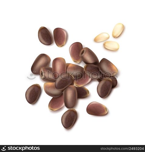 Vector realistic pile of unshelled pine nuts close up top view isolated on white background. Pile of pine nuts