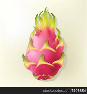 Vector Realistic Pitaya or Dragon Fruit Illustration