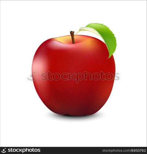 Vector Realistic Red Apple. Detailed 3d Illustration Isolated On White. Design Element For Web Or Print Packaging.