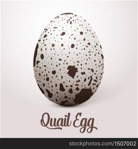 Vector realistic white egg with spots. On light background with soft shadow. . Vector realistic white egg with spots. On light background with soft shadow. 3D Quail Egg.