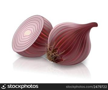 vector red onion isolated on white background