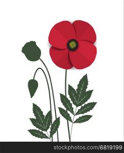 Vector red romantic poppy flowers and grass