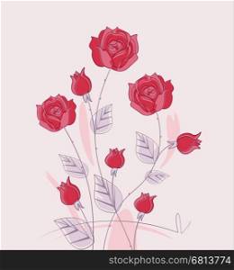 Vector red roses. Vector illustration with roses on a pink background