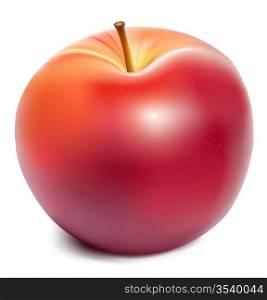 Vector. Ripe red apple.