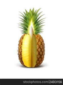 Vector ripe sliced pineapple fruit isolated on white background. Ripe sliced pineapple
