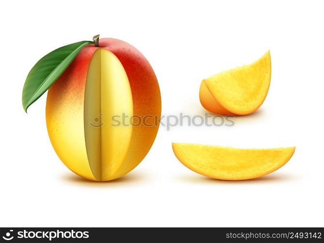 Vector ripe yellow, orange, red slised mango with leaf isolated on white background. Vector Sliced mango