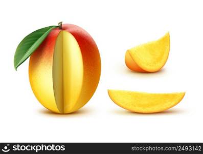 Vector ripe yellow, orange, red slised mango with leaf isolated on white background. Vector Sliced mango