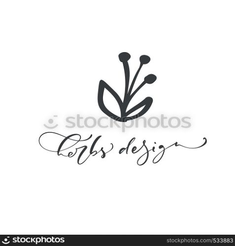 Vector scandinavian floral Logo. Hand drawn icon flower cosmetic, florist wedding, home decor. Herbs Design text.. Vector scandinavian floral Logo. Hand drawn icon flower cosmetic, florist wedding, home decor. Herbs Design text
