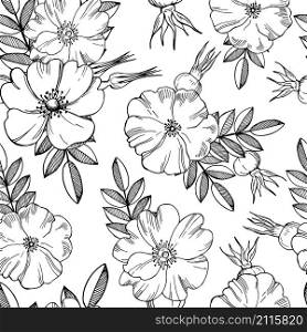 Vector seamless floral pattern with flowers of wild rose.