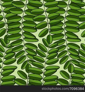 Vector Seamless pattern with acacia leaves. Spring background for packaging, textile and fabric design.. Vector Seamless pattern with acacia leaves. Spring background for packaging, textile and fabric design