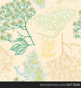 vector seamless pattern with blooming plants