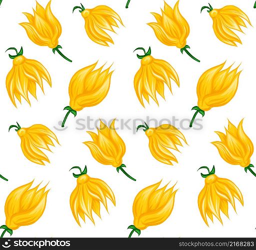 Vector seamless pattern with bud of tropical flowers ylang ylang on white background. Wallpaper with natural floral objects in cartoon style.. Vector seamless pattern with bud of tropical flowers ylang ylang on white background. Wallpaper with natural floral objects