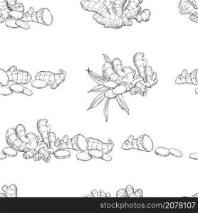 Vector seamless pattern with Ginger root. Hand drawn sketch illustration. Vector pattern with Ginger root.