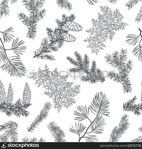 Vector seamless pattern with hand drawn branches and cones of coniferous trees. Christmas plants. . Vector pattern with Christmas plants