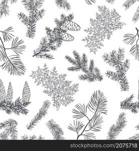 Vector seamless pattern with hand drawn branches and cones of coniferous trees. Christmas plants. . Vector pattern with Christmas plants
