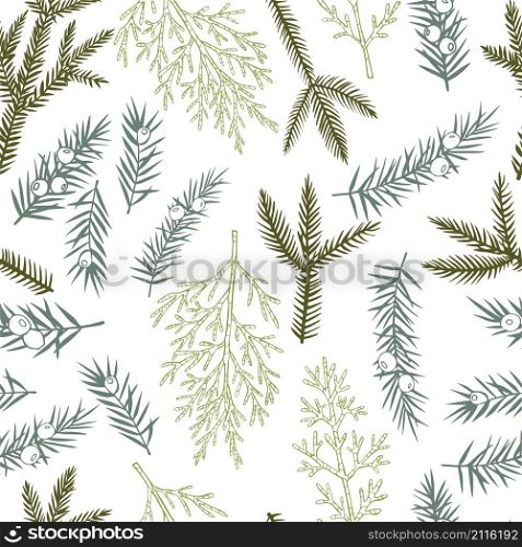 Vector seamless pattern with hand drawn Christmas plants.. Christmas plants set.