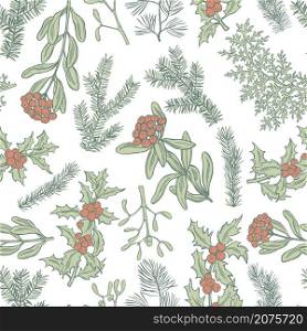 Vector seamless pattern with hand drawn Christmas plants. Christmas plants. Vector pattern