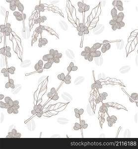 Vector seamless pattern with hand drawn coffee plants and beans. Coffee Plant and beans.