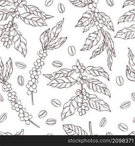 Vector seamless pattern with hand drawn coffee plants and beans. Sketch illustration.. Pattern with coffee plants and beans.