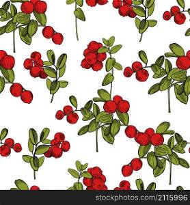 Vector seamless pattern with hand drawn forest berry. Lingonberry. Cowberry