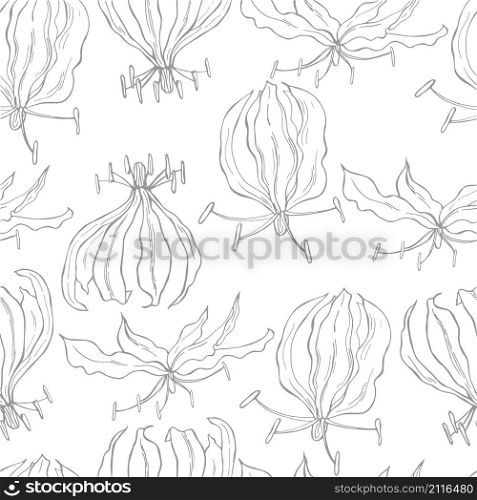 Vector seamless pattern with hand drawn gloriosa flower.