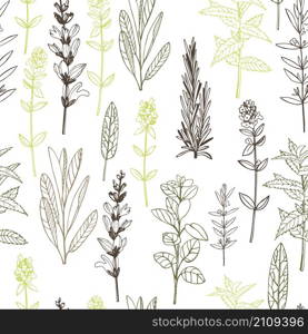 Vector seamless pattern. with hand drawn herbs. Sketch illustration.. Vector seamless pattern. with hand drawn herbs.
