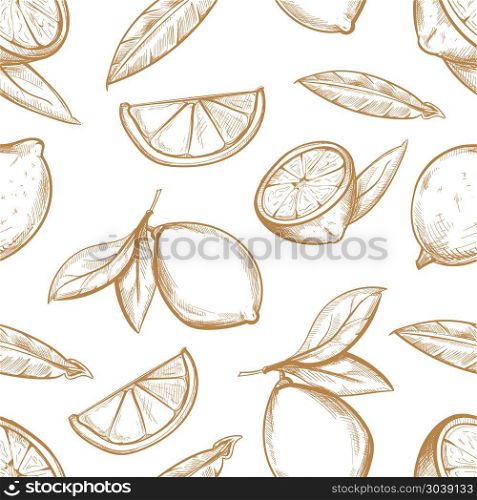 Vector seamless pattern with hand drawn lemons branch, lemon blossom, citrus slices and leaves. Vector seamless pattern with hand drawn lemons with branch, lemon blossom, citrus slices and leaves. Sketch background with sour fruit illustration