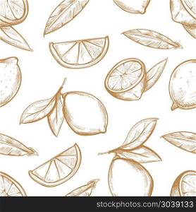 Vector seamless pattern with hand drawn lemons branch, lemon blossom, citrus slices and leaves. Vector seamless pattern with hand drawn lemons with branch, lemon blossom, citrus slices and leaves. Sketch background with sour fruit illustration