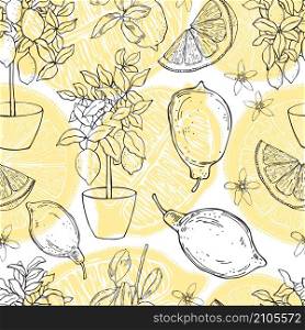 Vector seamless pattern with hand drawn lemons. Fruits, flowers and trees in pots.. Vector pattern . Fruits, flowers and trees in pots.