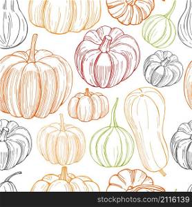 Vector seamless pattern with hand drawn pumpkins on white background. Pumpkins. Hand drawn vegetables on white background.